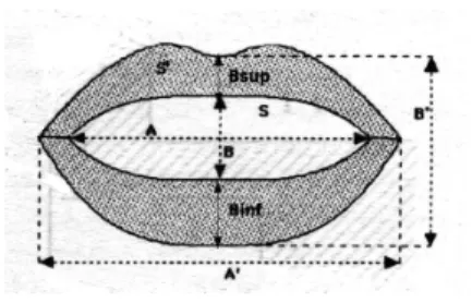 Figure 1: Hand shapes for consonants (top) and hand position (bottom) for vowels in French Cued Speech.