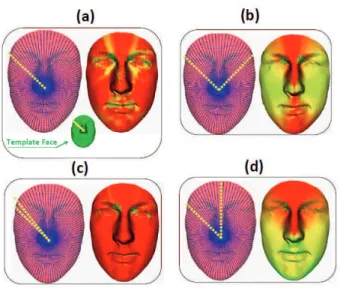 Fig. 1. Illustrations of different features on 3D shape of the preprocessed face. (a) the 3D-avg