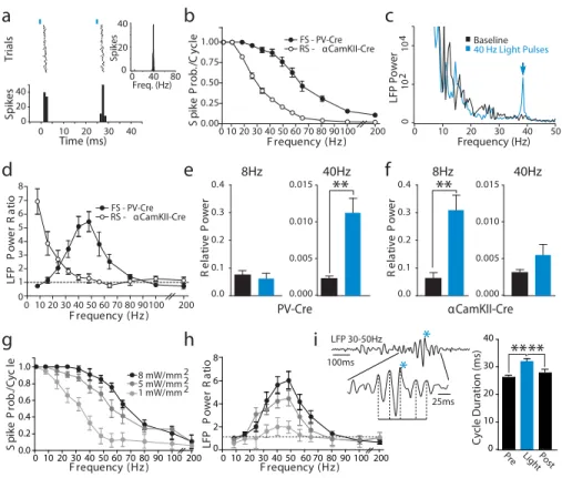 Figure 3. Fast spiking inhibitory interneurons generate gamma oscillations in the local cortical  network