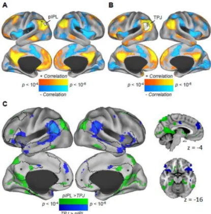 Figure 2. Patterns of task-based functional dissociations are reflected in the brain’s resting state architecture