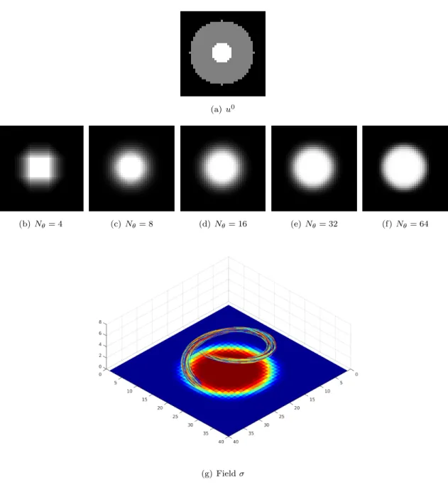 Figure 4: Computing a disk by minimizing the TSC energy. We set α = 10 and hence the optimal solution of the inpainting problem is given by a disk of radius r = 10