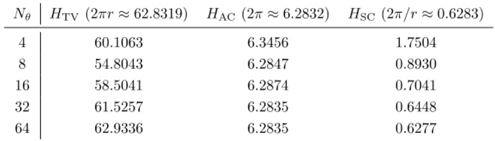 Table 1: Approximating a disk of radius r = 10. The table shows the values of the computed total variation (TV), absolute curvature (AC), and squared curvature (SC) for a varying number of discrete orientations N θ 