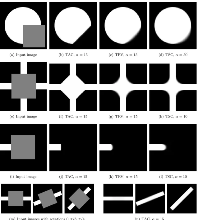 Figure 6: Shape completion for various shapes using total absolute curvature (TAC), total roto- roto-translational variation (TRV) and total squared curvature (TSC)