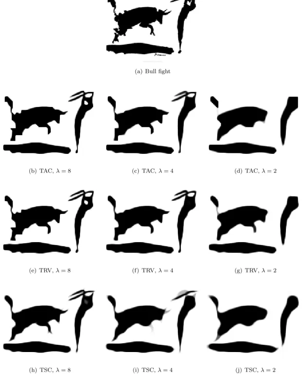 Figure 8: Shape regularization using curvature regularization. (a) shows the original “Bull fight”