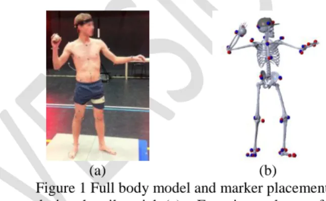 Figure 1 Full body model and marker placements  during the pilot trial. (a) – Experimental setup for 