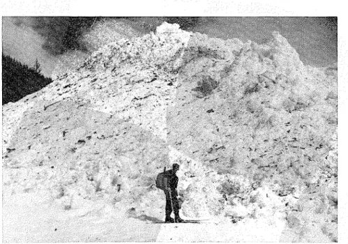Figure  7:  Avalanche  site  Cheops  No.  1  with  earth  mounds  in  the  terminus. 