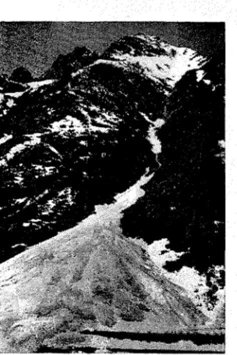 Figure  4:  Avalanche  site  Cheops  No.  2. 
