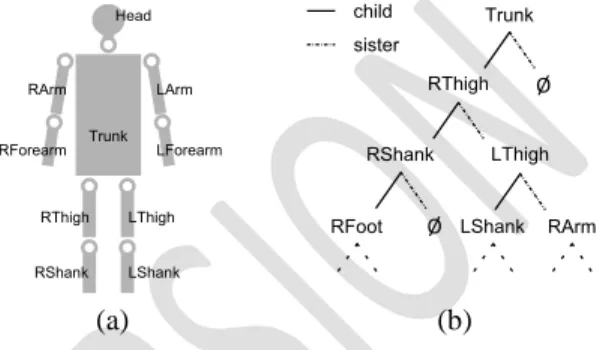 Figure 1 Hierarchical description of musculoskeletal  model. (a) – structural representation; (b) – 