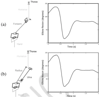 Figure  2  shows  the  elbow  flexion  angle  which  is  invariant  in  both  the  open  and  closed  loop  models