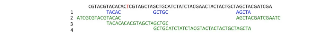 Fig. 4 Representation of the mapping of a read (top sequence) on a CDBG, whose nodes are represented on lines 2, 3, and 4