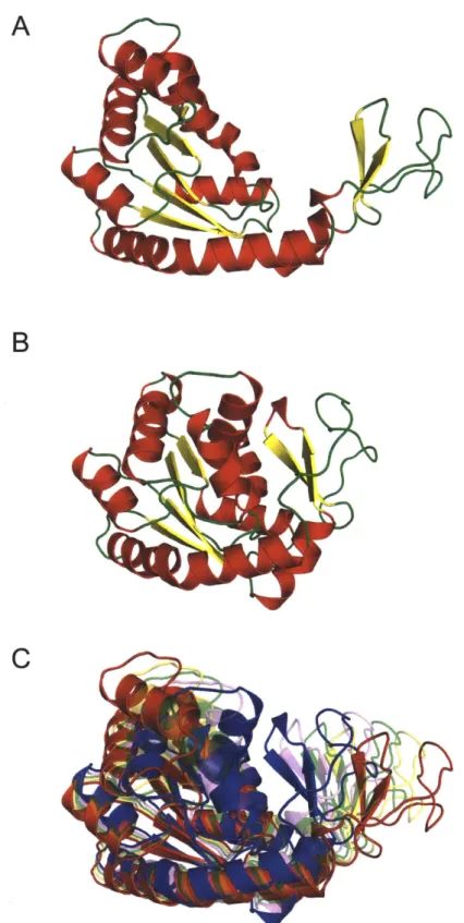 Figure  1-7  - Conformational  change  pathway  of  adenylate  kinase.  (A)  Schematic  repre- repre-sentation  of the  open conformation  of adenylate  kinase  (Protein  Data Bank ID  4AKE  [50]).