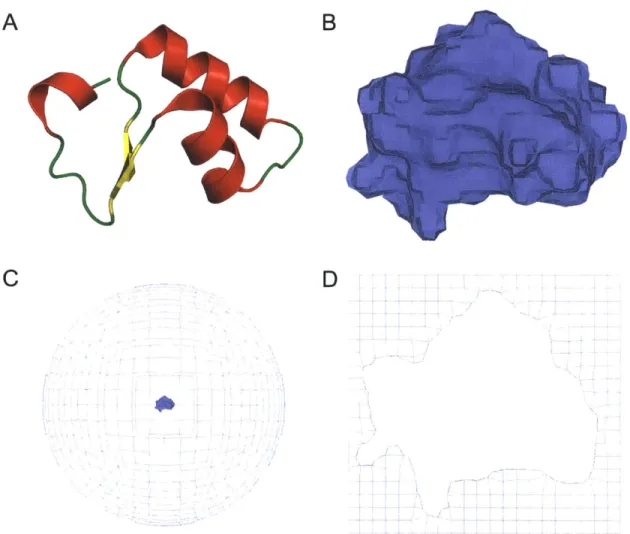 Figure  2-1  - Finite element  solvent  model  of  crambin  (Protein  Data  Bank  ID  2FD7)