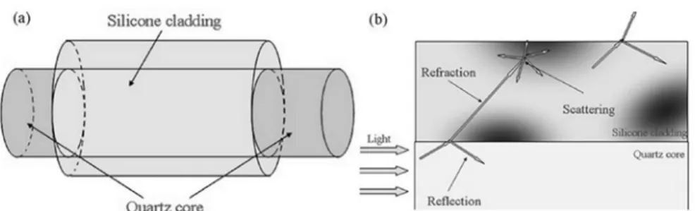 Figure    3.  Schematic  diagram  of  a  side‐glowing  optical  fiber  (a)  and  its  segment  under  irradiation (b)  Particulates in   in cladding layer are indicated as blacker fields in the figure [7]  .                                                 