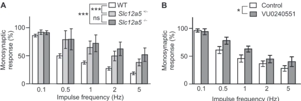 Fig. S4. RDD of the monosynaptic re ﬂ ex in vitro is reduced when KCC2 function is genetically or pharmacologically reduced
