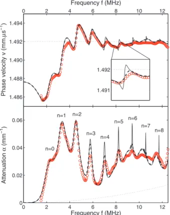 FIG. 2. Phase velocity (top) and attenuation (bottom) measured in sample 1 (red open circles)