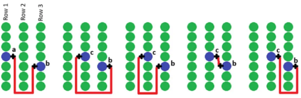 Fig. 1   Distances across vineyards. The left illustrates how the vineyard structure affect the moving from  point a to point b