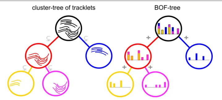 Fig. 5: (left) A cluster-tree of tracklets, where edges between nodes represent a strict inclusion