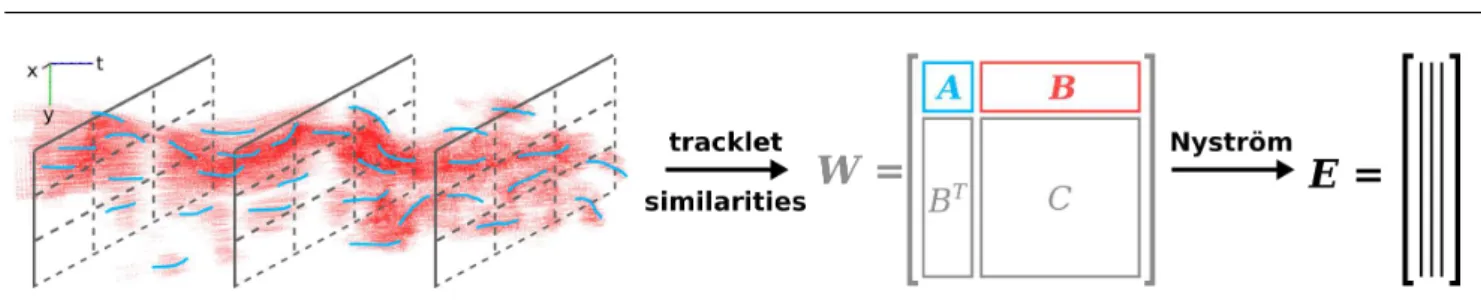 Fig. 3: Illustration of the Nystr¨om approximation. We first sample n ≪ N tracklets by randomly choosing p points in each cell of a regular spatio- spatio-temporal grid