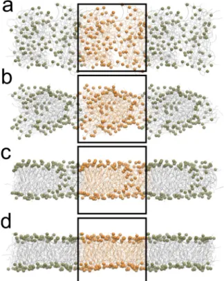 Figure 3.  Box size effect on lipid diffusion. Diffusion coefficient for POPC lipid extracted from 1.2–1.5  μs  simulation of a planar membrane in different boxes of size  L x = L y = L  and  L z = 240  Å (cyan circles)