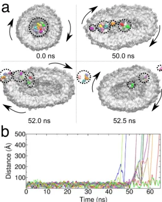 Figure 8.  Substrate release in shear flow. Time evolution of the single substrate distance with respect to the  vesicle centre of mass