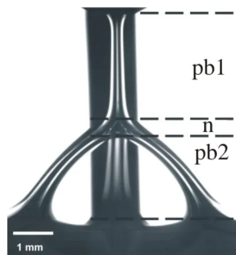 Figure 1: Single foam node formed at the junction of four Plateau borders. The black vertical  bar is one of the frame rods
