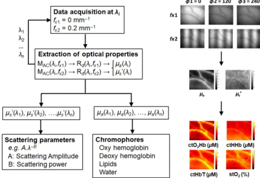 Fig. 6 Full acquisition workflow: the typical acquisition workflow for reduced scattering and absorption properties is shown