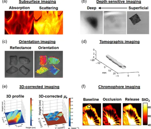 Figure 8 provides examples taken from the literature: real- real-time quantitative fluorescence imaging [Fig