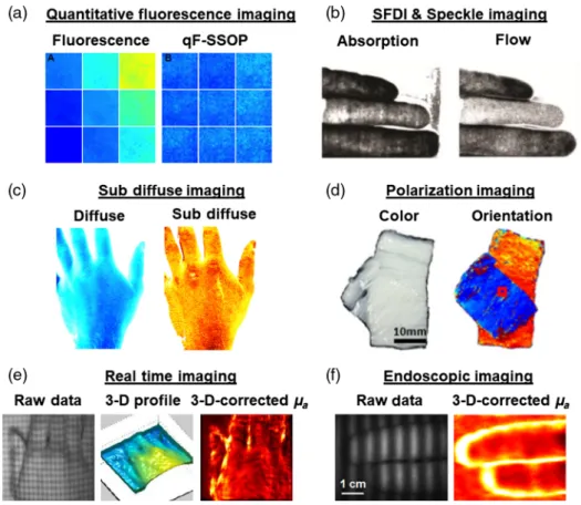 Fig. 8 Recent developments in SFDI: recent developments using SFDI include: (a) correction of absorp- absorp-tion and scattering properties of tissues to improve fluorescence imaging in real time on tissue phantoms adapted from Ref