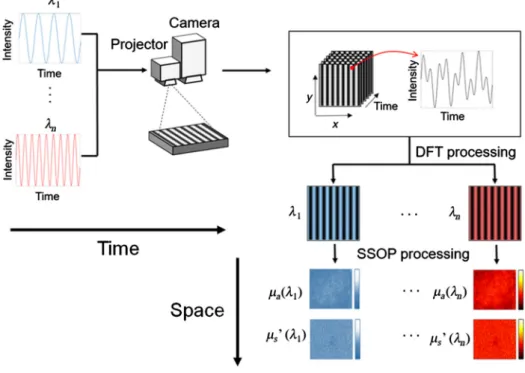 Fig. 9 Spatiotemporal modulation of light: multiple light sources are modulated in time and combined into a single-fiber output