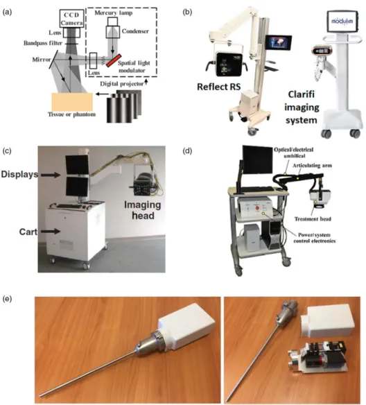 Fig. 4 Example of SFDI instruments: (a) the working principle of the SFDI instrumentation is illustrated, including a light source, a projector, and a digital camera adapted from Ref