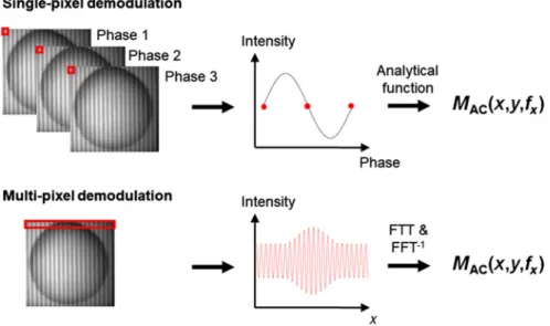 Fig. 5 Demodulation methods: two main demodulation schemes can be used: either at a single-pixel level by acquiring several frames with phase shifts allowing to use a simple analytical formula to obtain the amplitude modulation, or at a multipixel level by