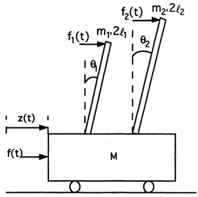 Figure  2.1  The  Dual  Inverted  Pendulum  System