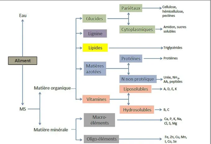Figure 15: Composition des aliments (Brocard et al., 2010) 