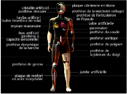 Fig. I.01 : les organes peuvent être remplacés par des biomatériaux [10] 