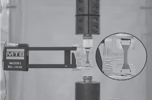 Fig. II.10 : Essai de traction sur un échantillon osseux (d’après Kaneko) [31]. 