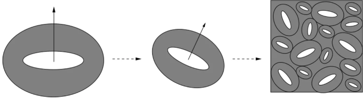 Figure 1: Assemblage of self-similar randomly oriented hollow ellipsoids (from (Vincent et al., 2009))