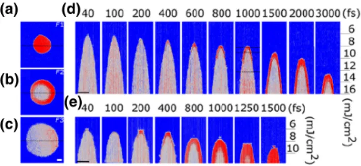 FIG. 1. (a)–(c) Magneto-optical Kerr images obtained after exposing the sample to 600 laser pulses with a pulse duration of 1 ps, a σ + polarization, and laser ﬂuences of 8.3 mJ/cm 2 (a), 9.1 mJ/cm 2 (b), and 12.3 mJ/cm 2 (c) corresponding to the lines in 