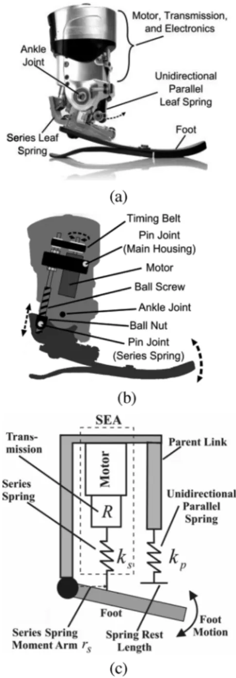 Fig. 1. (a) Physical system with labeled components, (b) diagram of the drive train, and (c) mechanical model of the powered ankle–foot prosthesis