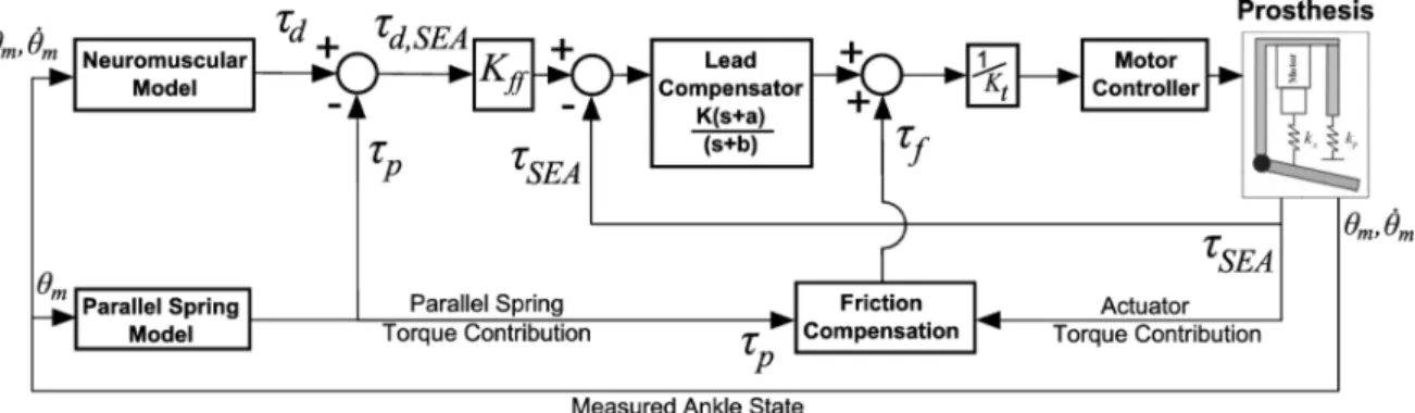 Fig. 3. Control system block diagram. The prosthesis measured ankle state, ( ; _ ) is used to produce a torque command from the neuromuscular model,  