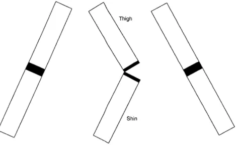 Figure 3-  3:  As  the thigh of the robot is  swung  forward, due to natural the biped,  the shin too  swings  which  causes  the knee  to straighten.