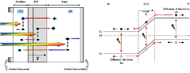 Figure II.6:structure et diagramme de bande d’une cellule solaire sous éclairement [8]
