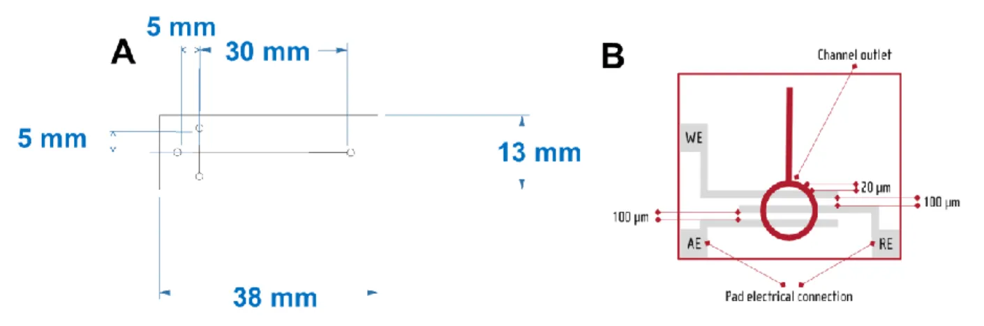 Figure  1  -  Schematic  presentation  of  A)  dimensions  and  B)  design  of  Micrux  MCE-SU8-Pt001T  chip