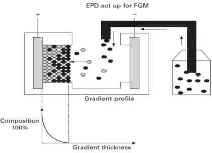 Fig. I.9. Procédé électrophorétique de dépôt pour des matériaux de FGM   [Anné G et al, 2006] 