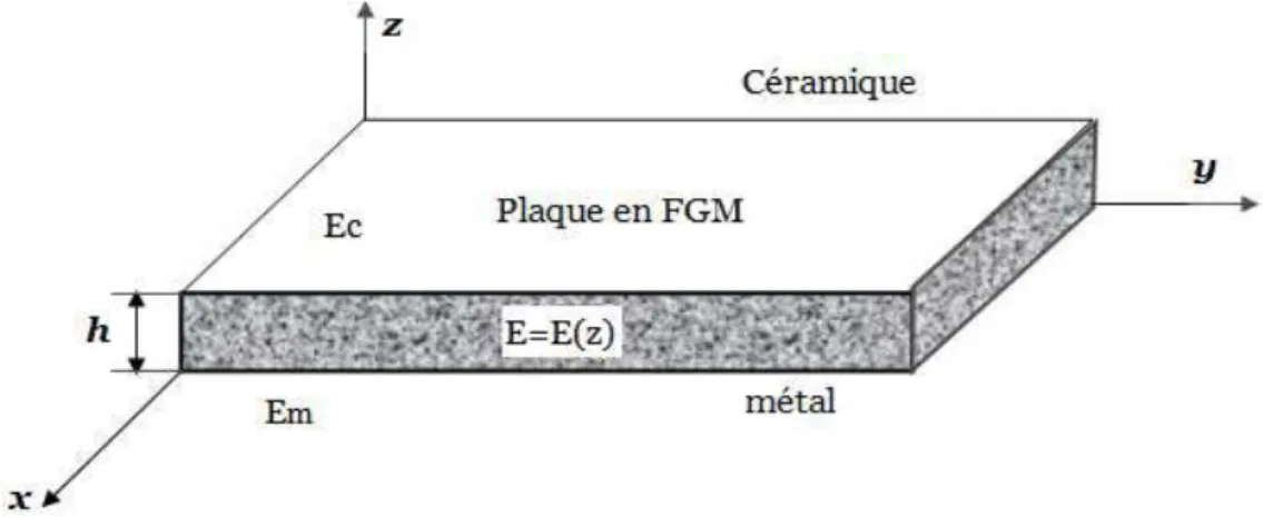 Fig. I.13. Géométrie d’une plaque FGM 