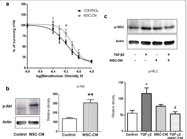 Fig. 5 MSC-CM induces TM primary cell survival and contractility. Effect of MSC-CM on human trabecular meshwork (hTM) cell survival and contractility with or without transforming growth factor beta 2 (TGF- β 2 )