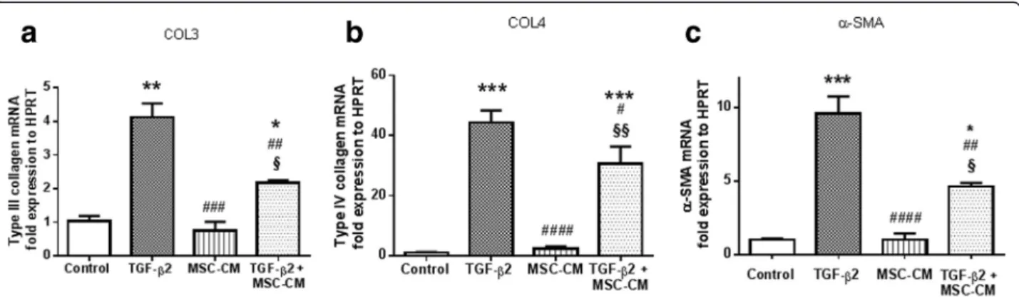 Fig. 6 MSC-CM reduces epithelial mesenchymal transition-like phenomenon in primary trabecular cells