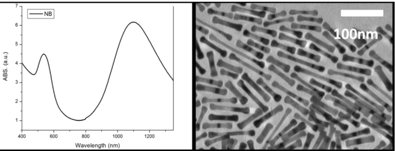 Figure 2-3: Extinction plot and TEM of the synthesized NBs 