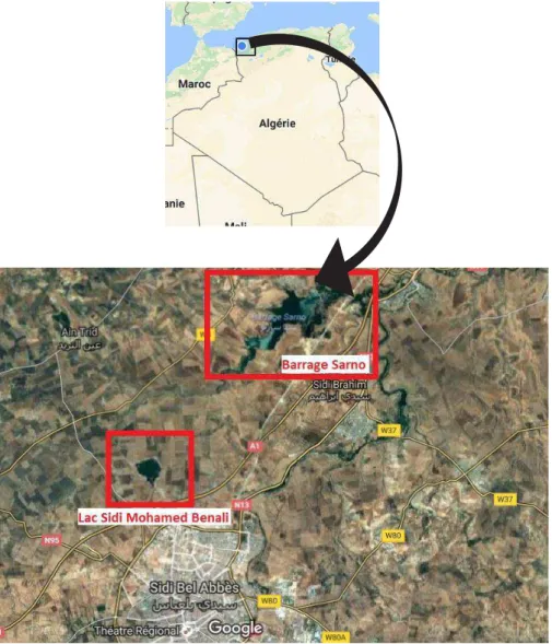 Figure 12 : Image satellite du barrage Sarno et du lac Sidi Mohamed Benali                      (Google Maps, 2016)