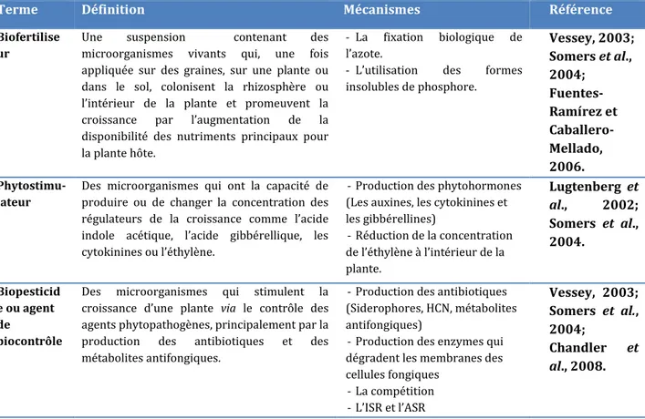 Tableau  1:  Classification  des  mécanismes  de  stimulation  de  la  croissance  des  plantes  contrôlées par les PGPR (Martinez-Viveros et al., 2010)