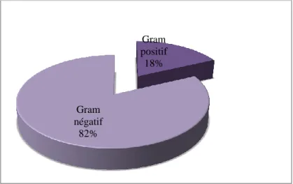 Figure 8 : Répartition des isolats cliniques  selon la coloration de Gram.